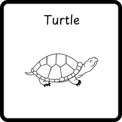 Animals Coloring E Book for Kid - turtle (2)