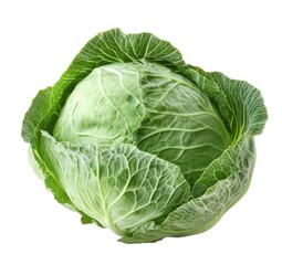 Fototapeta premium Fresh green cabbage head (2)