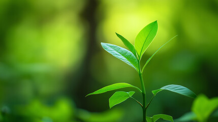 Contemporary Abstract Illustration: Embodiment of Simplicity and Clarity in Today's Business Strategy