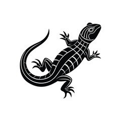 Beautiful lizard vector art illustration