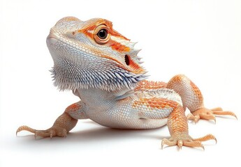 Hyper-realistic Bearded Dragon Lizard Portrait with Vibrant Earth Tones on White Background