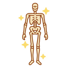 Skeleton Illustration: A detailed illustration of a human skeleton, rendered in a simplified, cartoonish style with a light beige color and brown outlines, highlighted by yellow sparkles.  