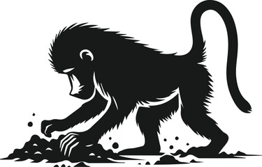 Baboon digging in the dirt animal vector