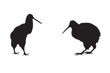 High-quality vector silhouette of a kiwi bird, including multiple kiwi bird silhouettes and icons, isolated on a white background.
