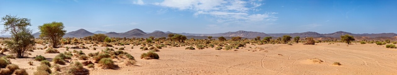 The desert landscape of the Sahara in Algeria	