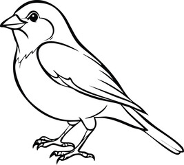 Sparrow Bird Design Illustration Clipart Eps