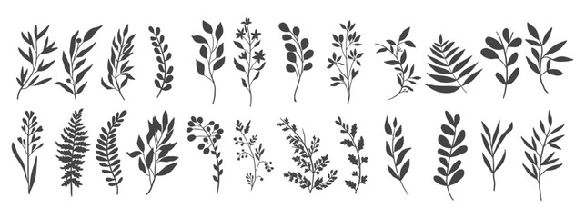 Minimal botanical floral branch in silhouette style. Hand drawn wedding herb, minimalistic flowers with elegant leaves. © Rizal