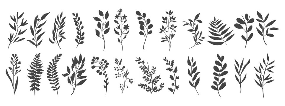 Minimal botanical floral branch in silhouette style. Hand drawn wedding herb, minimalistic flowers with elegant leaves. - Powered by Adobe