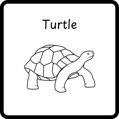 Animals Coloring E Book for Kid - turtle (3)