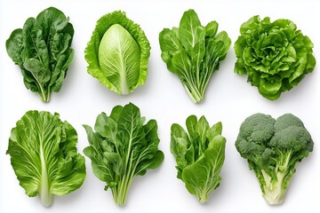 A variety of fresh, leafy green vegetables displayed on a white background.