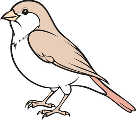 Sparrow Bird Design Illustration Clipart Eps