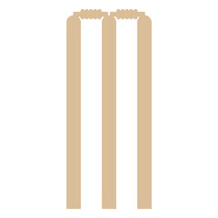 cricket wicket semi flat.