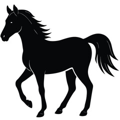 Obraz premium horse vector illustration