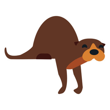 kalan muzzle fur tail rounded flat.