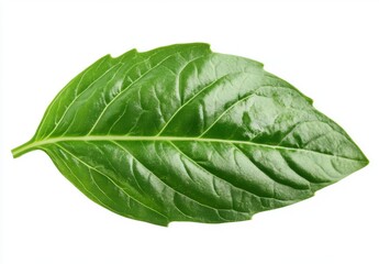 Obraz premium Vibrant Green Leaf Isolated on White Background