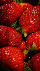 fresh vegetables and fruits on the counter of the central market in Budapest