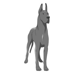 Fototapeta premium standing great dane dog illustration.
