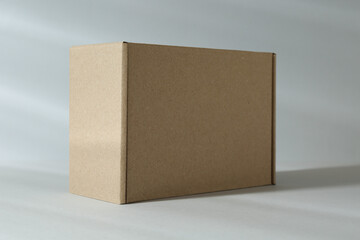One blank cardboard box on white background. Mockup for design