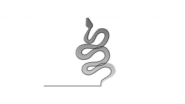 Snake outline self drawing animation. Grey