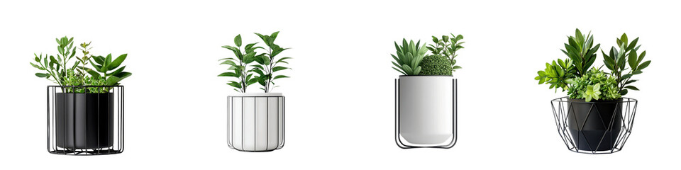 Fototapeta premium Collection of various potted succulents cacti and other small indoor plants arranged on a shelf or table for stylish modern home or office decor Minimalist natural and botanical display with clean