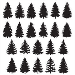 Fototapeta premium set vector fir trees silhouette