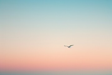 Fototapeta premium A serene sky transitions from soft blue to pink, with a single bird soaring gracefully through the peaceful atmosphere.