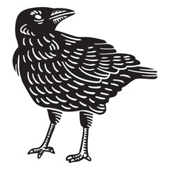 Obraz premium crow bird cut out.