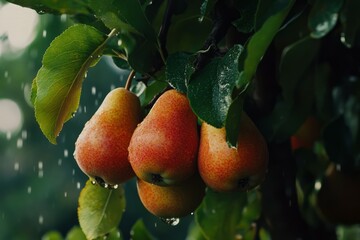 Ripe pears on tree branch in sunlit orchard. Neural network AI generated