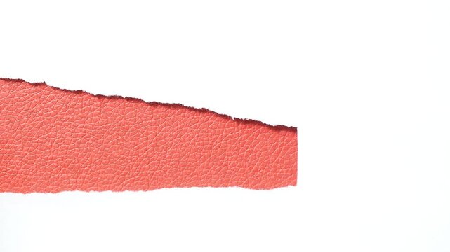 torn white paper with red background