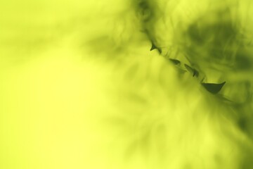 Light and shadows falling on yellow background