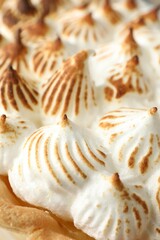 Delicious pie with browned meringue, closeup view