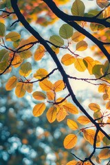 vibrant autumn leaves on tree branches in golden sunlight