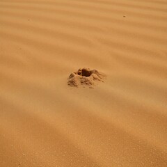 Sand-textured backdrop