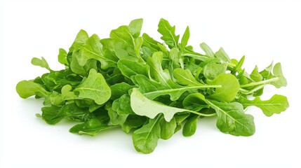 Obraz premium Fresh Arugula Salad Greens - High-Quality Image