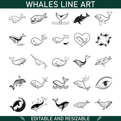 Editable Whale Line Art Designs, Illustrations, Graphics, Vectors, Ocean, Marine, Wildlife, Tattoo, 