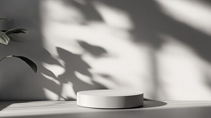 Soft-focus gray background with realistic product placement shadows for e-commerce photography