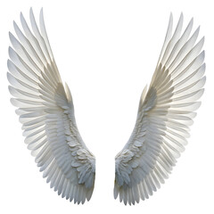 Naklejka premium White angel wings isolated on white or transparent background, png