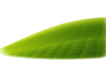 Abstract green hill isolated on transparent background, PNG cutout image for landscape and background designs