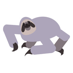 Obraz premium sloth muzzle claw rounded flat.