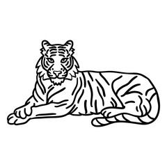 Obraz premium korean tiger stroke.