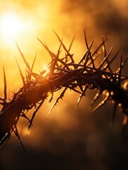 Obraz premium Crown of Thorns Symbolizes Sacrifice and Faith Against a Golden Light