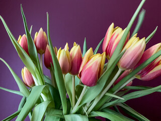 Fototapeta premium beautiful tulips, festive bouquet of tulips