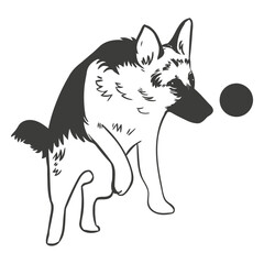 Fototapeta premium german shepherd playing hand drawn dog.