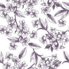 Vector seamless pattern of blooming sakura branch. Spring cherry blossom background in vintage engraving technique. Black ink drawing for cosmetics, food packaging, wedding decorations.