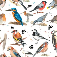 Added pattern. Birds on a white background. Hand-drawn with watercolors.