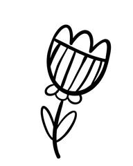 Hand drawn cute flower.Doodle flower vector.