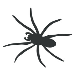 big spider arachnid silhouette.