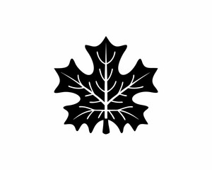 creative silhouette Leaf Icon victor illustration