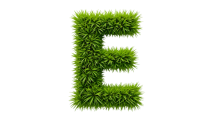 Grass Font E