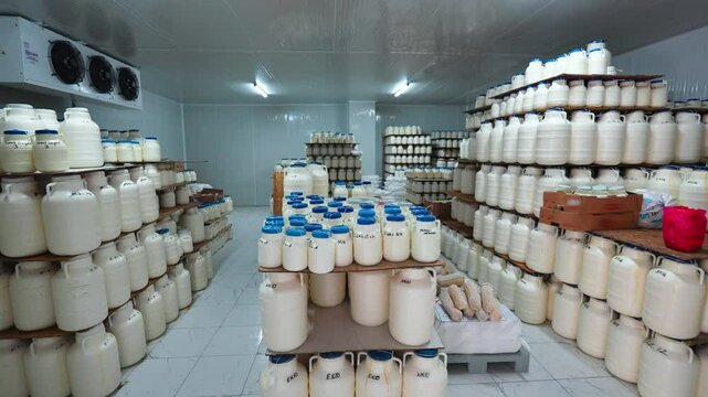 A dairy industry worker handling cheese storage containers in a refrigerated facility,ensuring food safety and quality preservation.This controlled environment helps maintain hygiene aging of cheese.